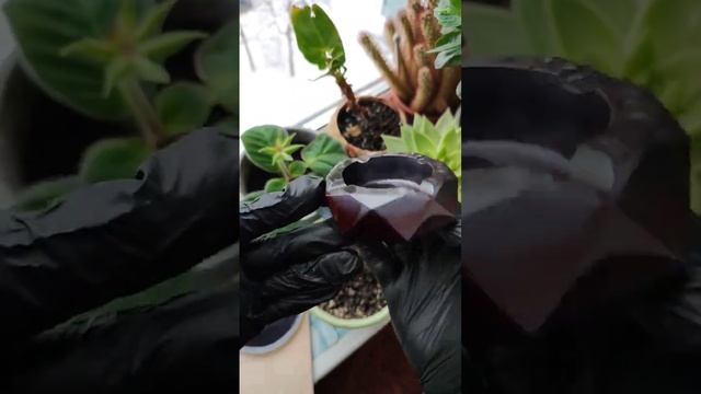 Сделал пепельницу на заказ из эпоксидной смолы #творчество #эпоксиднаясмола #эпоксидка #epoxyresin смотреть онлайн