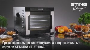 Профессиональная электросушилка STINGRAY ST-FD704A
