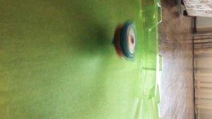 Вай феникс vs бог валькирия