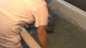 Санаторий "Чувашия"