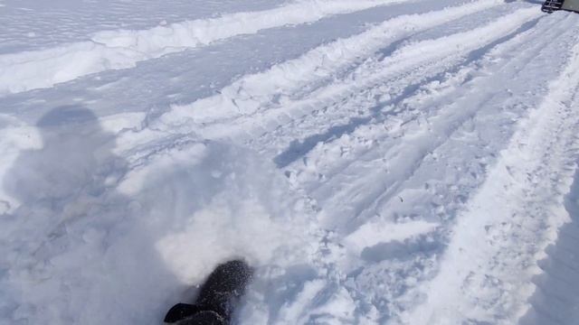 #шишига #газ 66 #вездеход #нива #уаз #Toyota #Patriot все пошло не по плану, встряли смотреть онлайн