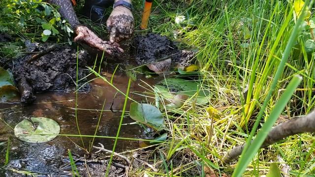 Historia Euphoria Ep. 5 - 300+ Year Old Colonial Trade Axe смотреть онлайн