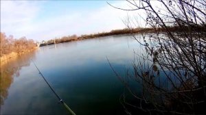 Ловля на боковой кивок, 06.01.2020 года.mp4