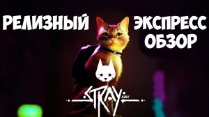 Экспресс обзор Stray / Игра года 2022 / Игра про кота