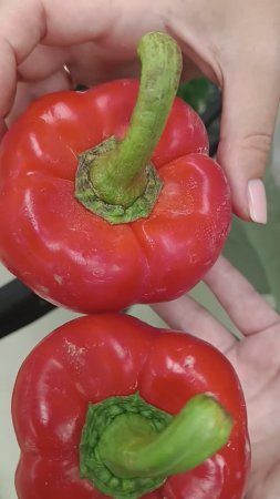 Лайфхак как определить вкусный и сладкий перец.