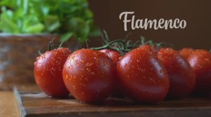 Предметная видеосъемка  - Томаты Фламенко