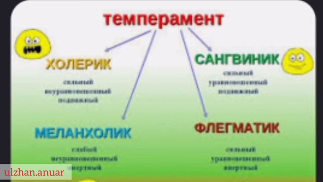 Темперамент түрлері Эмоциялық типтер Психологиялық сезімдер