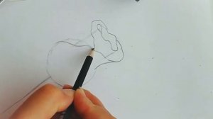 Как нарисовать бутон розы карандашом?