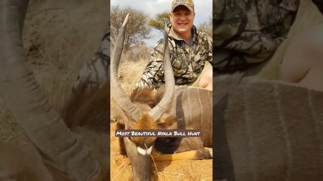 BEST Nyala Hunt - AMAZING experience: Rooibokkraal area