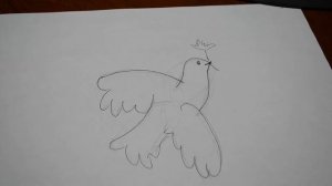 How to draw dove of peace | Символ МИРА | ГОЛУБЬ