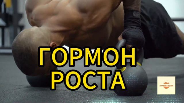 046 гормон роста