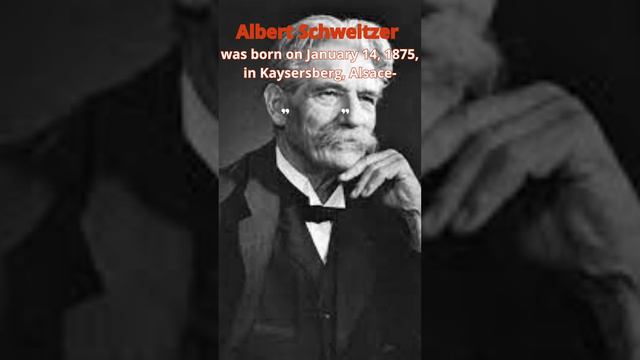 Albert Schweitzer