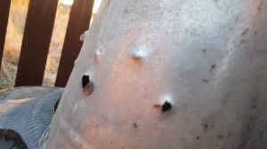 Gamo p900,как то не зашёл.