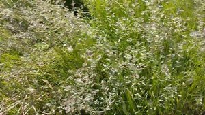 DDE 1101i отзыв отзывы