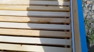 Три способа перехода пчел в магазин Оттягиваем сушь на 145 рамке