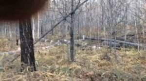 САМОДЕЛКА для переноски дров в лесу