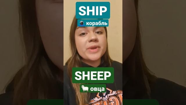 А вы правильно произносите английские слова sheep и ship? Давайте проверим