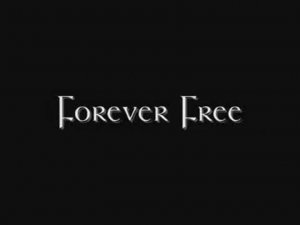 BBC Motion Galery – Forever Free – БОРОТЬСЯ ДО КОНЦА