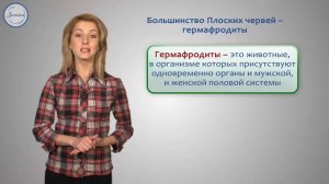 Тип Плоские черви