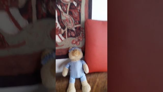 кот на фоне батика