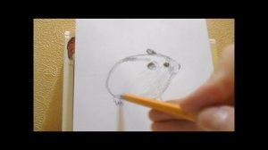 Рисую джунгарского хомяка
