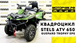 Квадроцикл Stels ATV 650 Guepard Trophy EPS