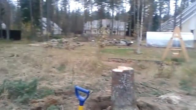 Корчевка пня вручную с бензопилой