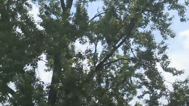 STAT Medevac, and Chopper 11. EC-135, Bell Long Ranger filming. смотреть онлайн