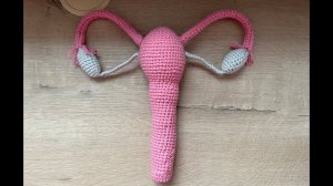 Матка крючком