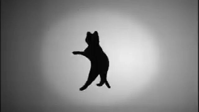 В какую сторону движется кошка смотреть онлайн