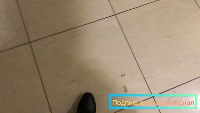 Яндекс Доставка | 31.12.2020г работа в Москве!??