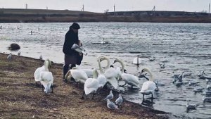 Крым.Евпатория.Новоозёрное