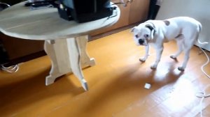 ДЕШЕВОЕ ОТОПЛЕНИЕ ДАЧИ или ДОМА зимой без газа обзор отопления Никатэн от Елены Матвеевой