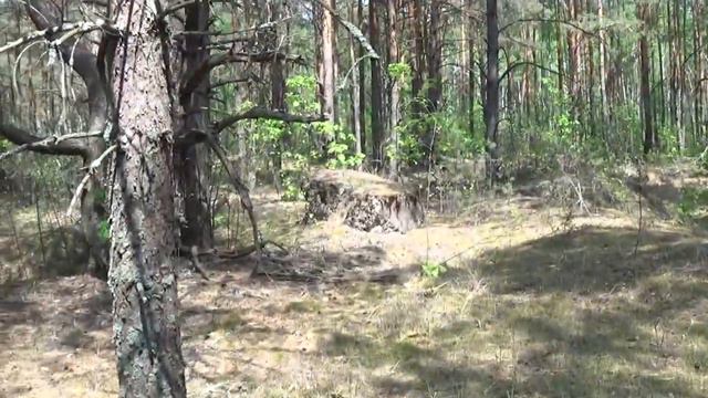 ЛИНИЯ СТАЛИНА  Укреплённый район 65  МОЗЫРЬ часть 3