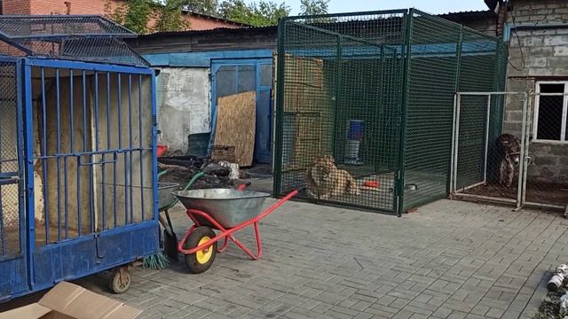 Граф трапезничает??❤