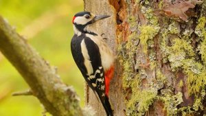 Любите себя и перестаньте слишком много думать. Слушайте эту музыку, чтобы расслабиться и успокоить