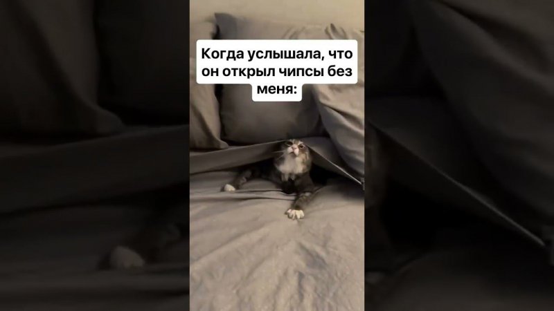 26 августа 2024 г.