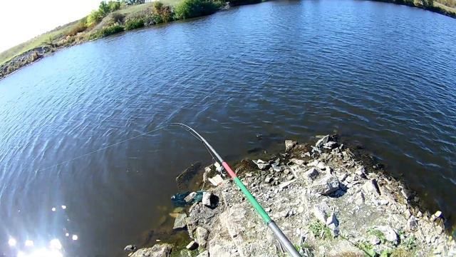 Семейный выходной!Жена поймала самого большого карася!P.s. Новичкам везёт. смотреть онлайн