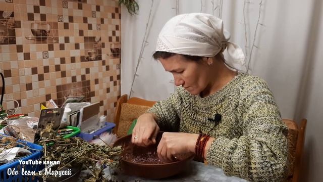 СВОИ СЕМЕНА ЦВЕТОВ ОВОЩЕЙ СПАСУТ УРОЖАЙ / ОГОРОД /ЦВЕТНИК@obovsemsmarusya смотреть онлайн