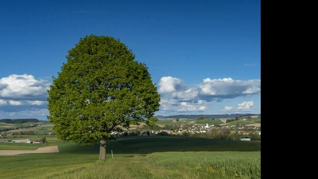 Изменение климата Земли смотреть онлайн