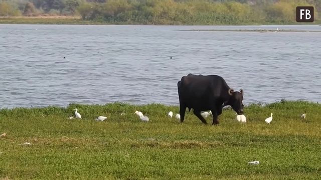 Свекровь долгие годы не хотела общаться с Инной. Причину невестка узнала, когда было уже поздно смотреть онлайн