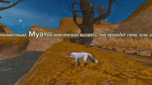 Кто такая Mya900? |Puma_Wildcraft