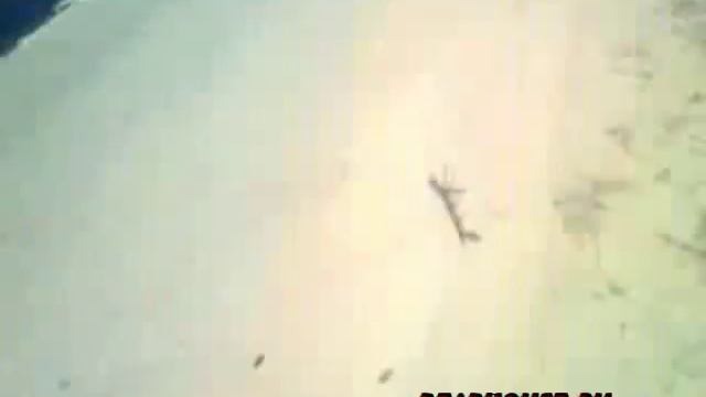 Муамар Каддафи смотреть онлайн