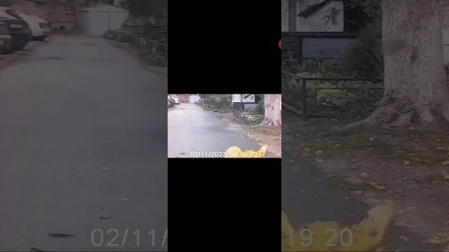 Дорожная ситуация. Вот это ситуация?