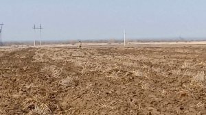 Два в одном!!!.mp4