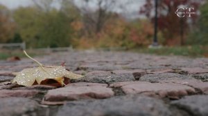 Звуки шагов в городе. АСМР. Стук каблуков на тротуарах и мощеных улицах.