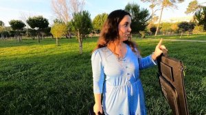 Портативная солнечная электростанция Allpowers 700W. ОБЗОР