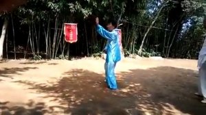 Летняя практика (ляньси / 练习) багуачжан
