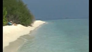 Мальдивы, № 2 Embudu Village 3* Лучшие места для снорклинга. Животный мир острова