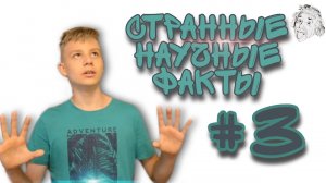 Праздник ПОМИДОРОВ | СТРАННЫЕ НАУЧНЫЕ ФАКТЫ #3